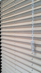 Pleated Blinds